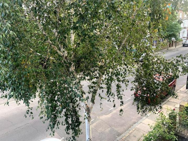 Lovely Spacious 1-Bedroom Flat In Tufnell Park Close To Central Londýn Exteriér fotografie